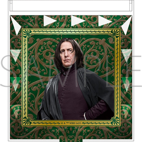 『ハリーポッター』ジュエルミラー(セブルス・スネイプ)